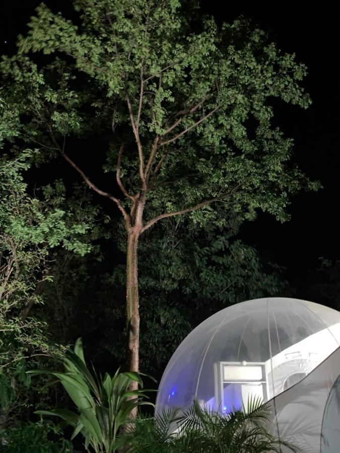 波尔兰特 Maisons Bulles Deluxe酒店 外观 照片