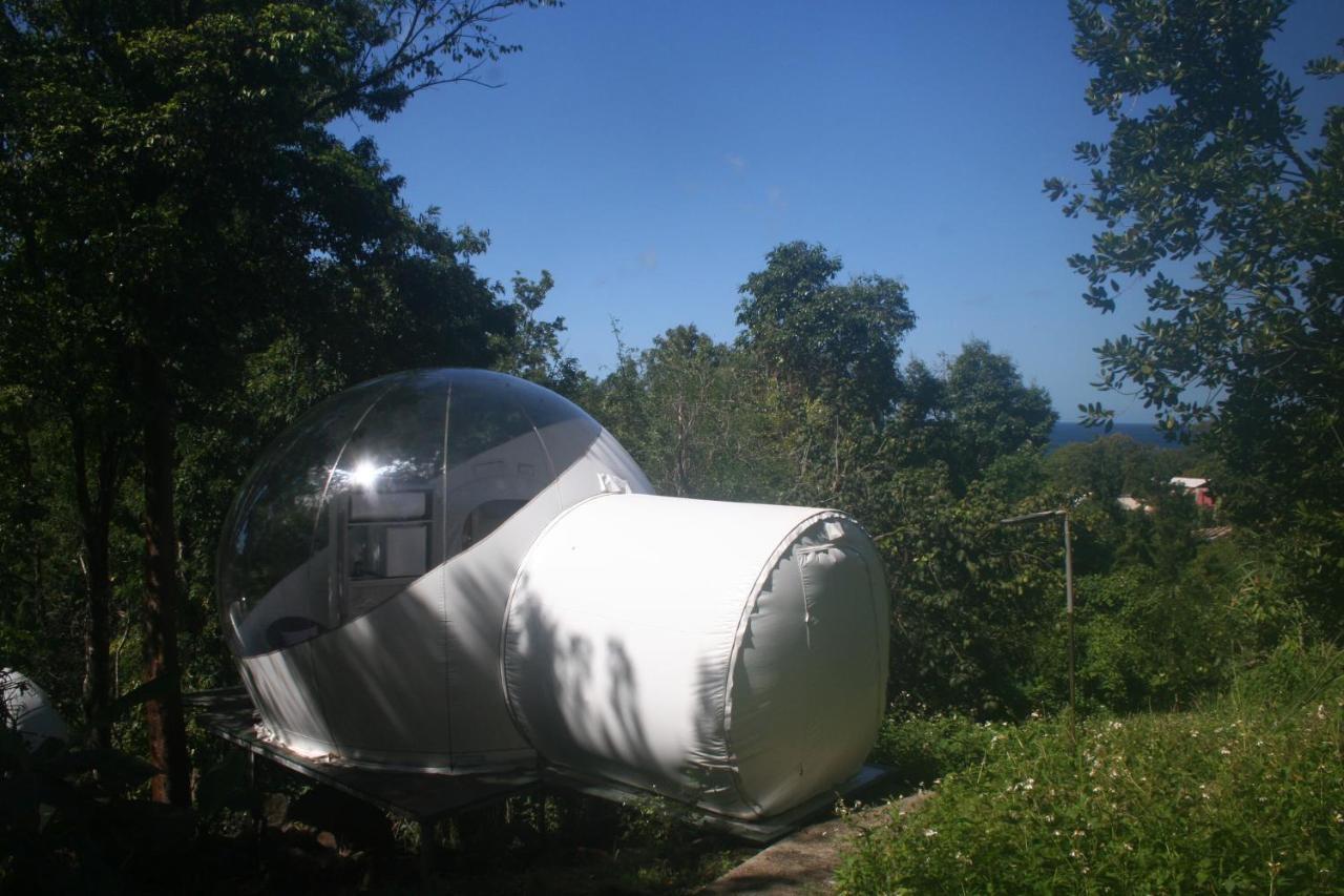 波尔兰特 Maisons Bulles Deluxe酒店 外观 照片