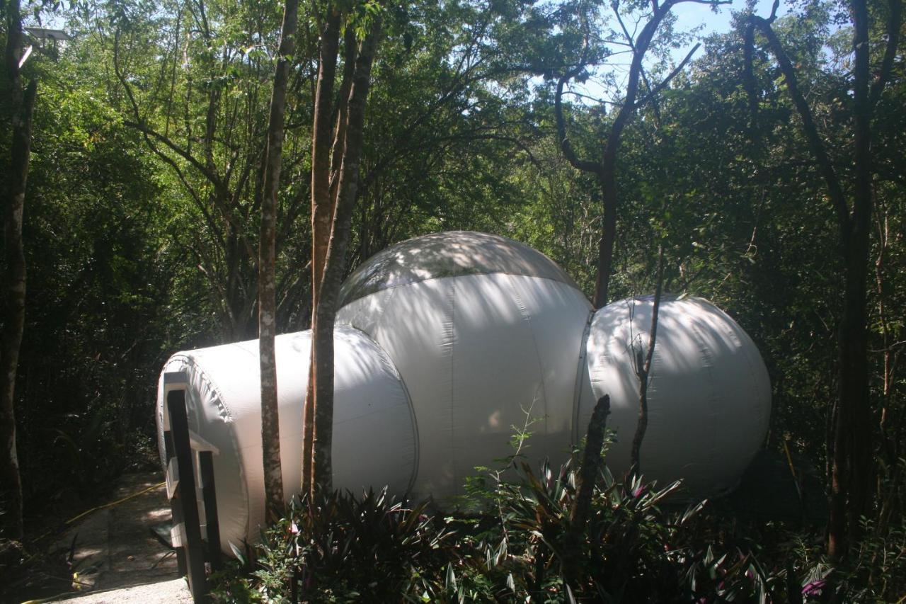 波尔兰特 Maisons Bulles Deluxe酒店 外观 照片